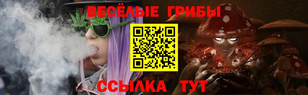 Белово  Псилоцибиновые грибы Cubensis  Галлюциногенные грибы мицелий  Вход с VPN 